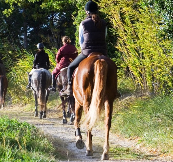 Center Parcs Eifel reiten